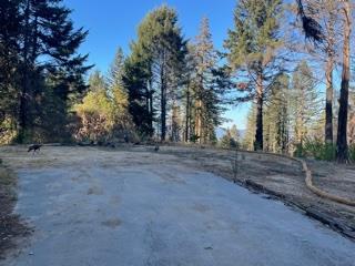 12505 Alba Road, BEN LOMOND, California 95005, ,Lots And Land,For Sale,Alba Road,40968950