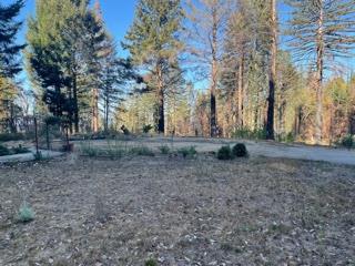 12505 Alba Road, BEN LOMOND, California 95005, ,Lots And Land,For Sale,Alba Road,40968950
