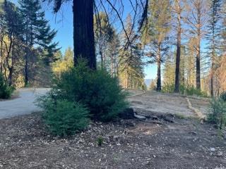 12505 Alba Road, BEN LOMOND, California 95005, ,Lots And Land,For Sale,Alba Road,40968950