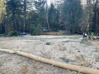 12505 Alba Road, BEN LOMOND, California 95005, ,Lots And Land,For Sale,Alba Road,40968950