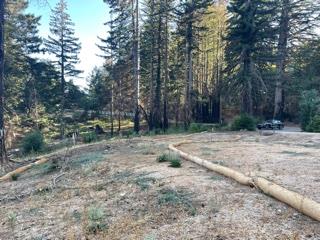 12505 Alba Road, BEN LOMOND, California 95005, ,Lots And Land,For Sale,Alba Road,40968950