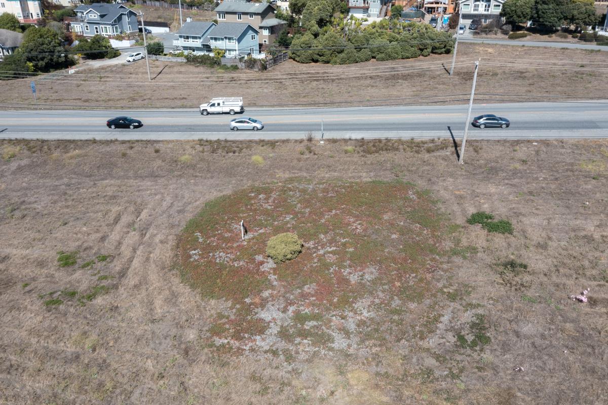 000 Cabrillo Highway, HALF MOON BAY, California 94019, ,Lots And Land,For Sale,Cabrillo Highway,40968951