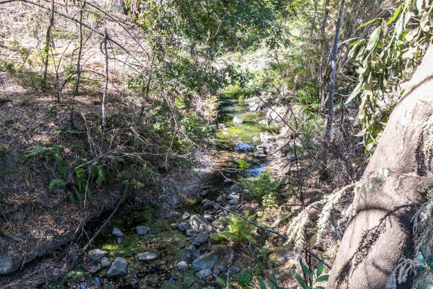 17815 Big Basin Way, BOULDER CREEK, California 95006, ,Lots And Land,For Sale,Big Basin Way,40969355