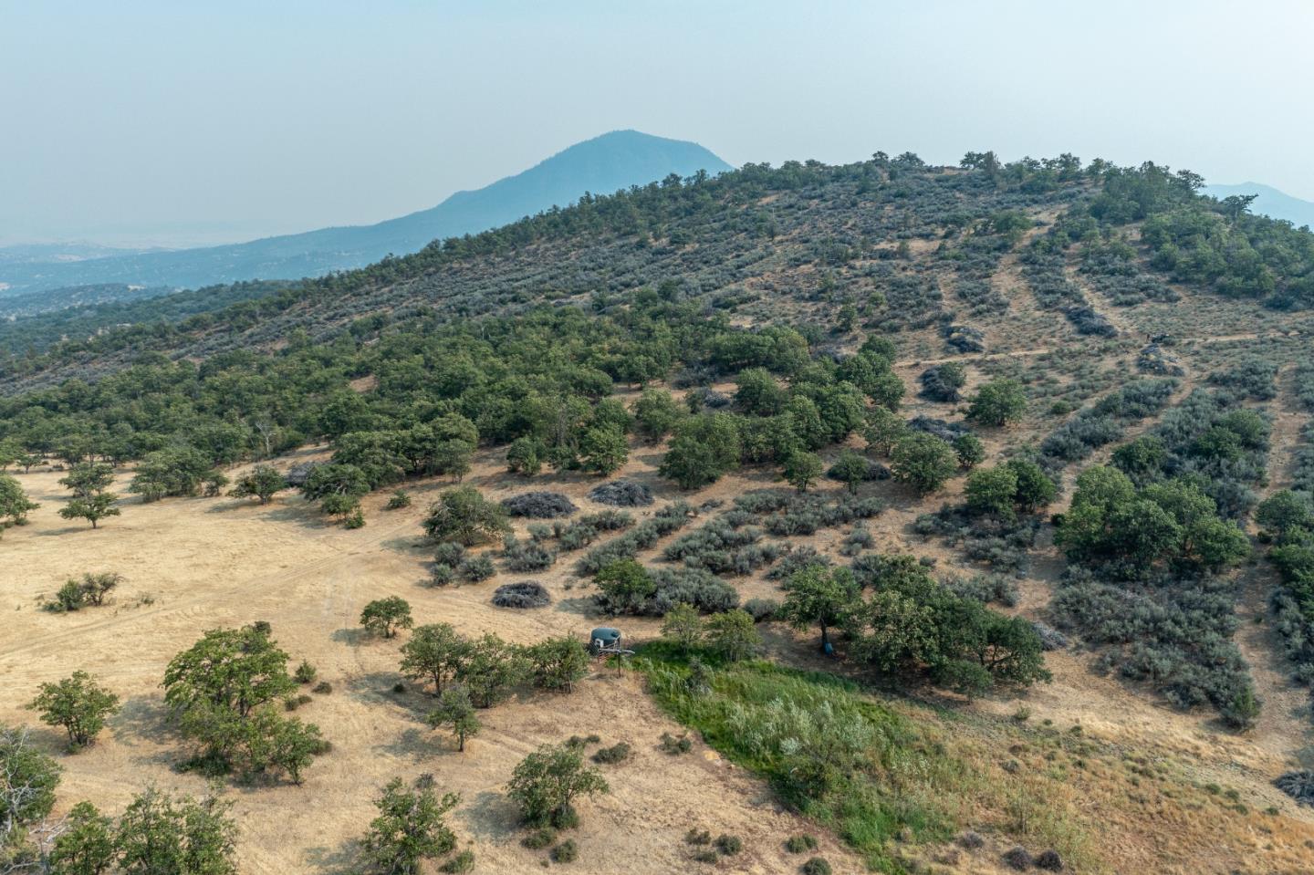 1224 Copco Road, HORNBROOK, California 96044, ,Lots And Land,For Sale,Copco Road,40969357