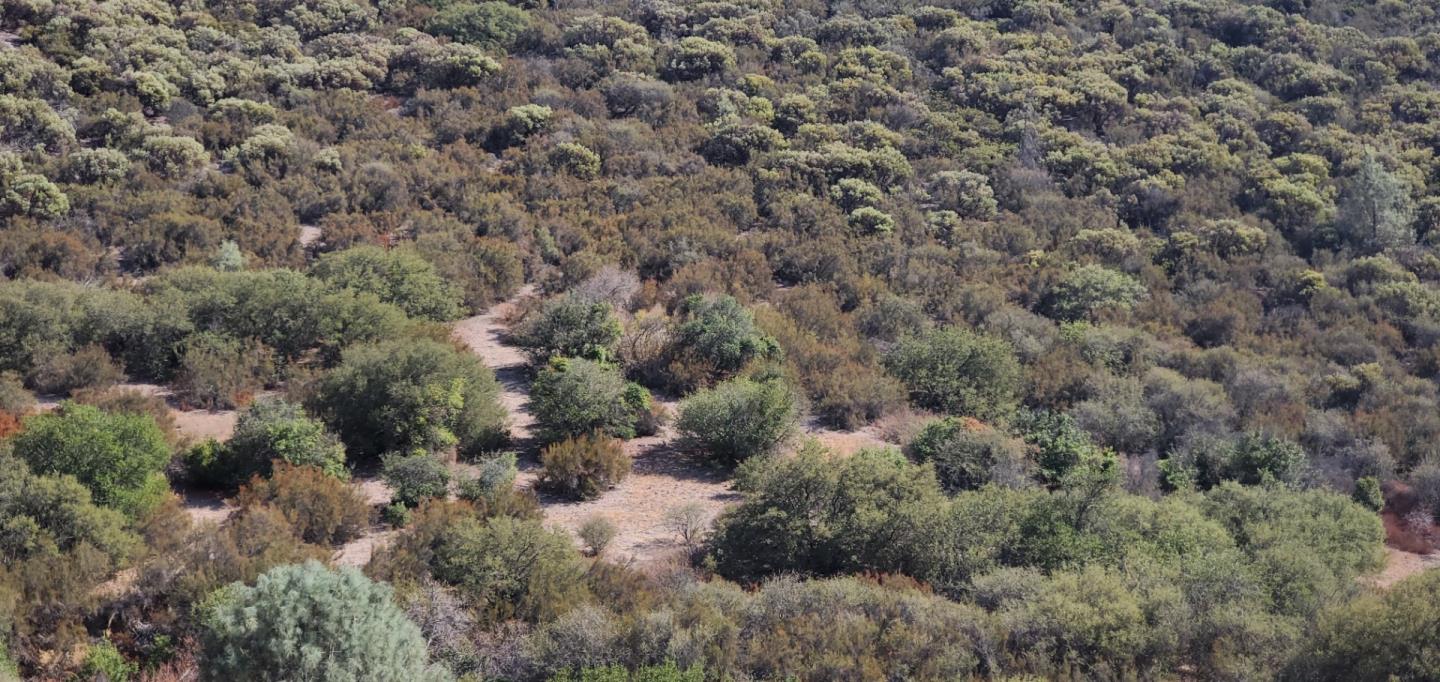 0 ARGYLE, KING CITY, California 93930, ,Lots And Land,For Sale,ARGYLE,40970963