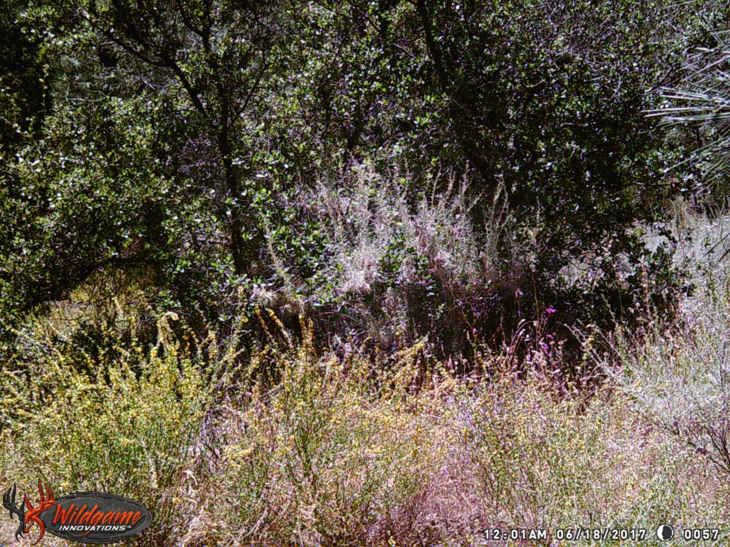 0 ARGYLE, KING CITY, California 93930, ,Lots And Land,For Sale,ARGYLE,40970963