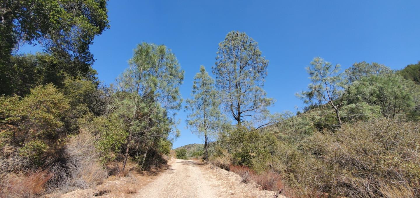 0 ARGYLE, KING CITY, California 93930, ,Lots And Land,For Sale,ARGYLE,40970963