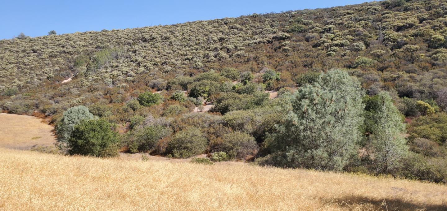0 ARGYLE, KING CITY, California 93930, ,Lots And Land,For Sale,ARGYLE,40970963
