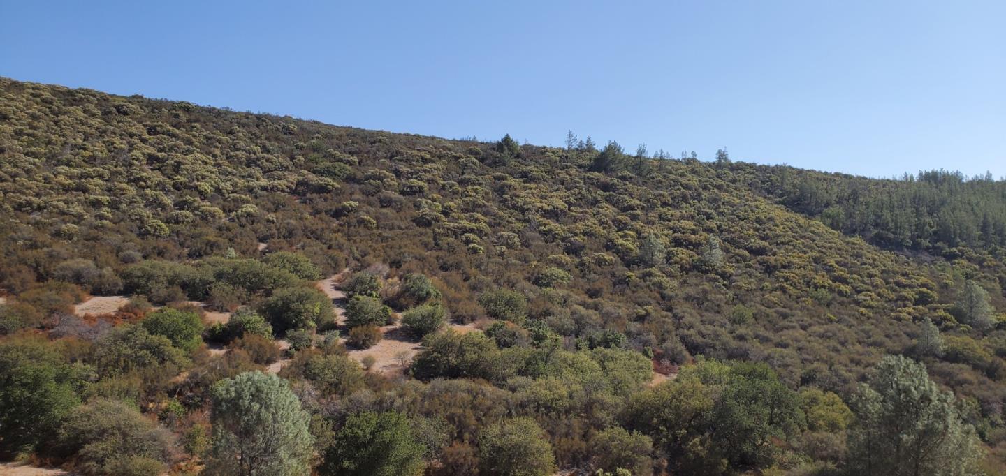 0 ARGYLE, KING CITY, California 93930, ,Lots And Land,For Sale,ARGYLE,40970963