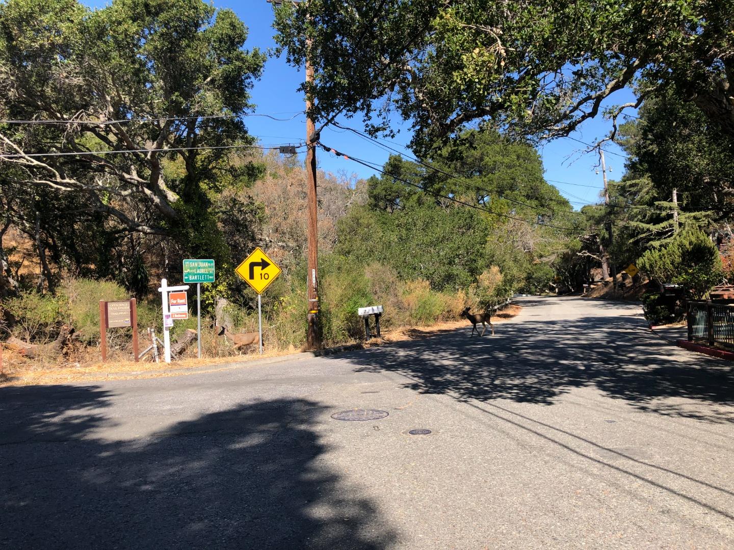 3041 San Juan Boulevard, BELMONT, California 94002, ,Lots And Land,For Sale,San Juan Boulevard,40969578