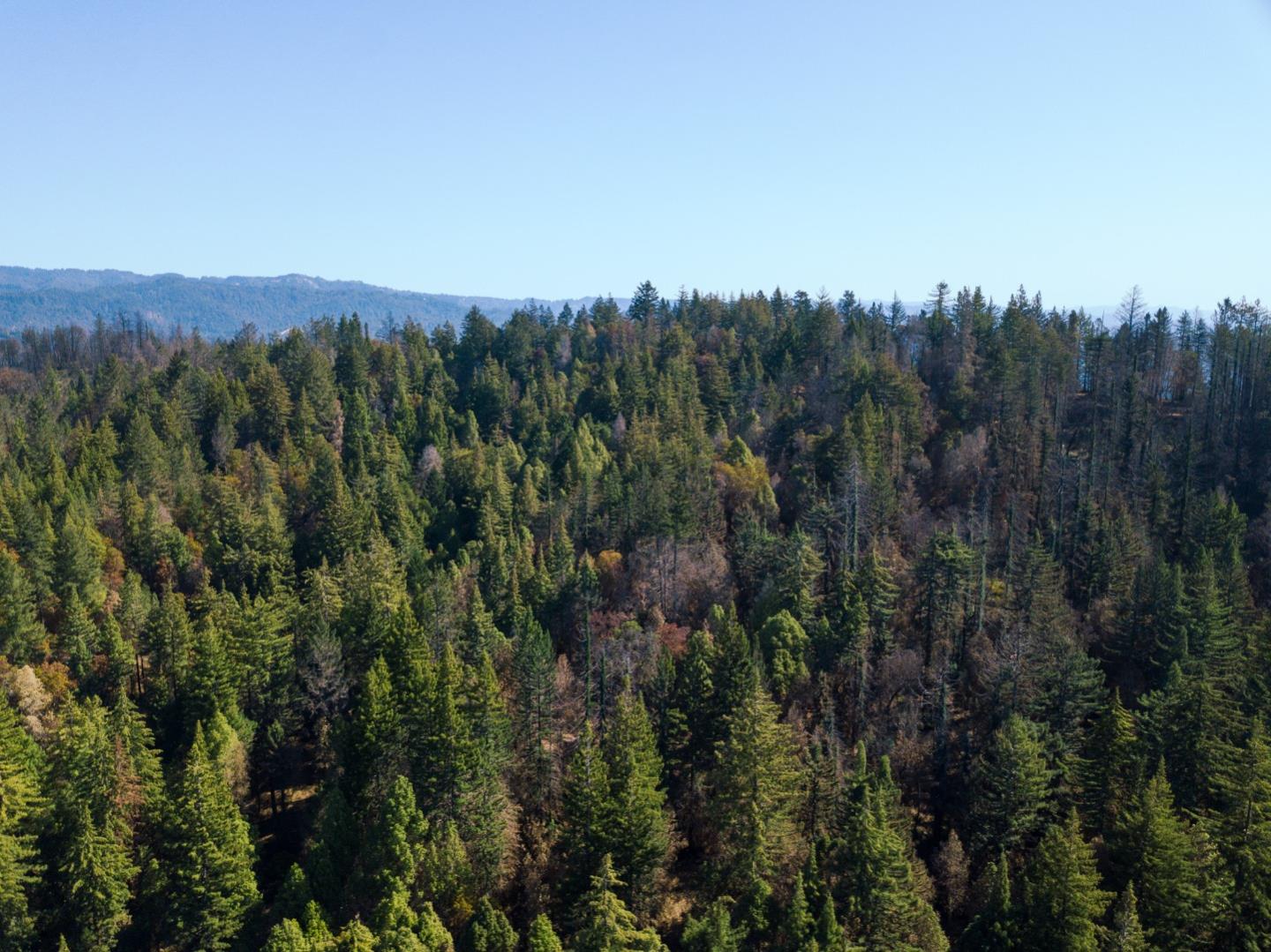0 Robin Hood Lane, BOULDER CREEK, California 95006, ,Lots And Land,For Sale,Robin Hood Lane,40969579