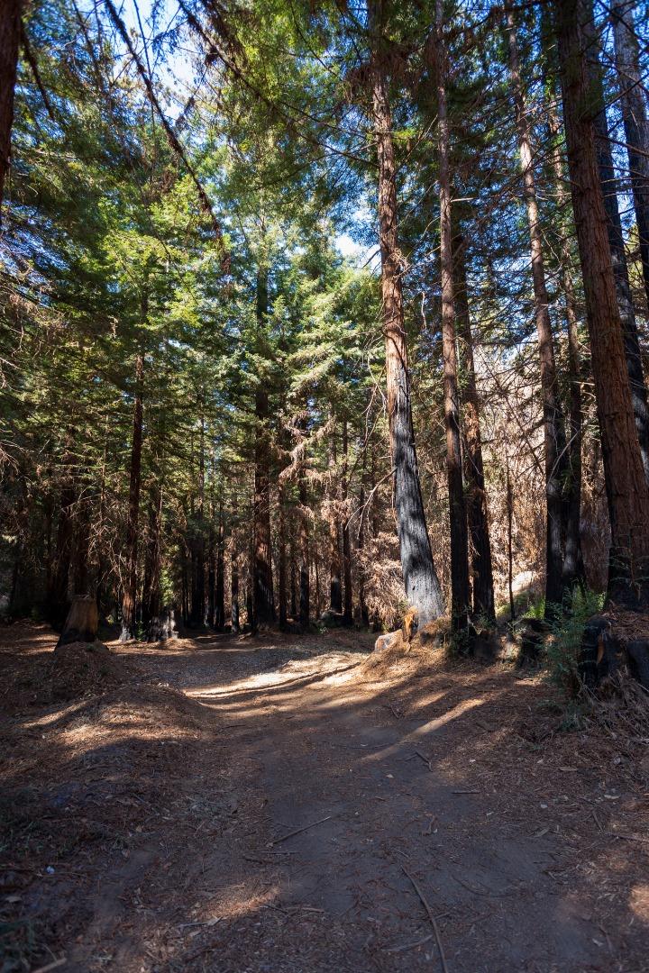 0 Robin Hood Lane, BOULDER CREEK, California 95006, ,Lots And Land,For Sale,Robin Hood Lane,40969579
