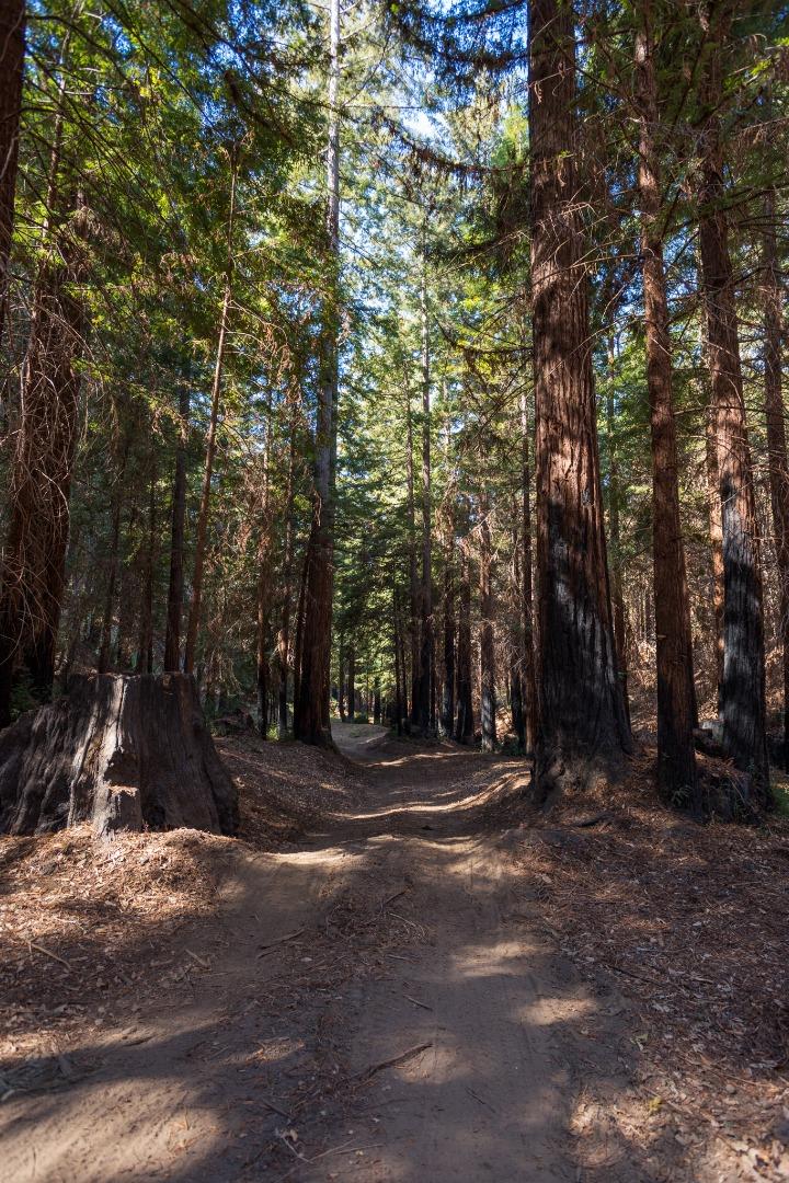 0 Robin Hood Lane, BOULDER CREEK, California 95006, ,Lots And Land,For Sale,Robin Hood Lane,40969579