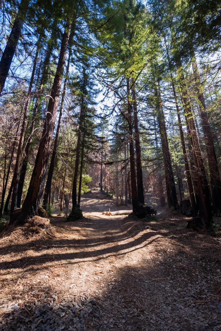 0 Robin Hood Lane, BOULDER CREEK, California 95006, ,Lots And Land,For Sale,Robin Hood Lane,40969579