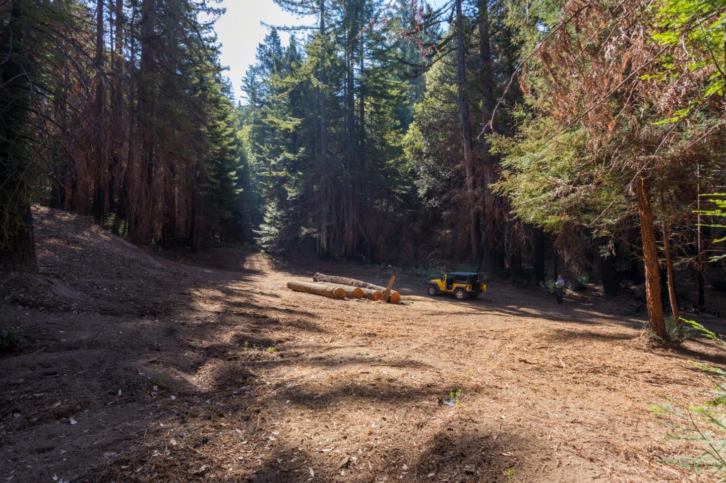 0 Robin Hood Lane, BOULDER CREEK, California 95006, ,Lots And Land,For Sale,Robin Hood Lane,40969579