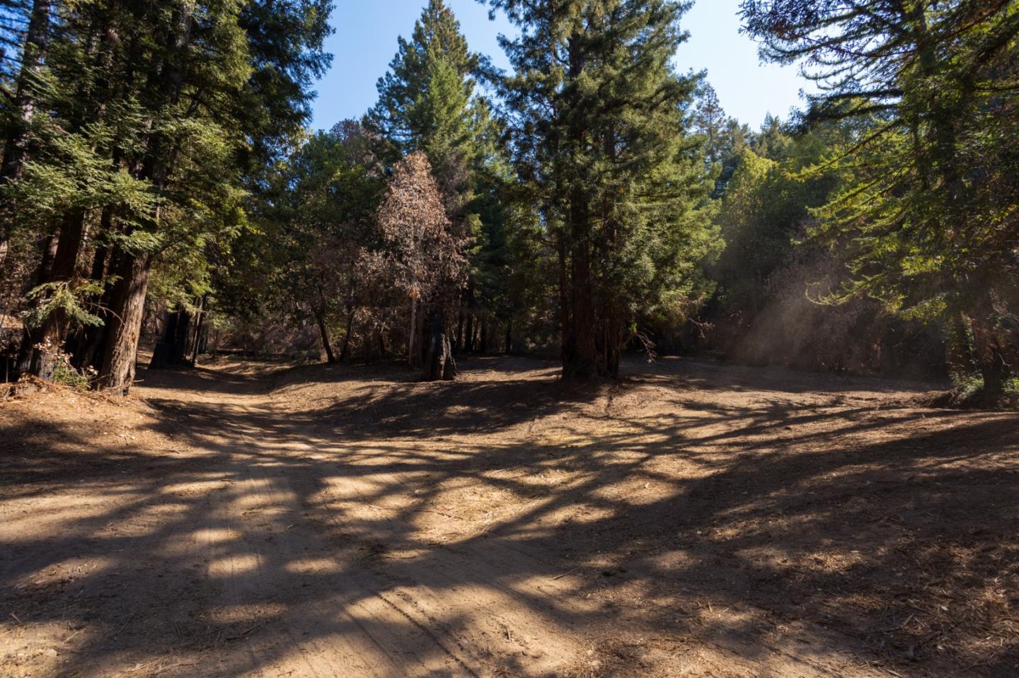 0 Robin Hood Lane, BOULDER CREEK, California 95006, ,Lots And Land,For Sale,Robin Hood Lane,40969579