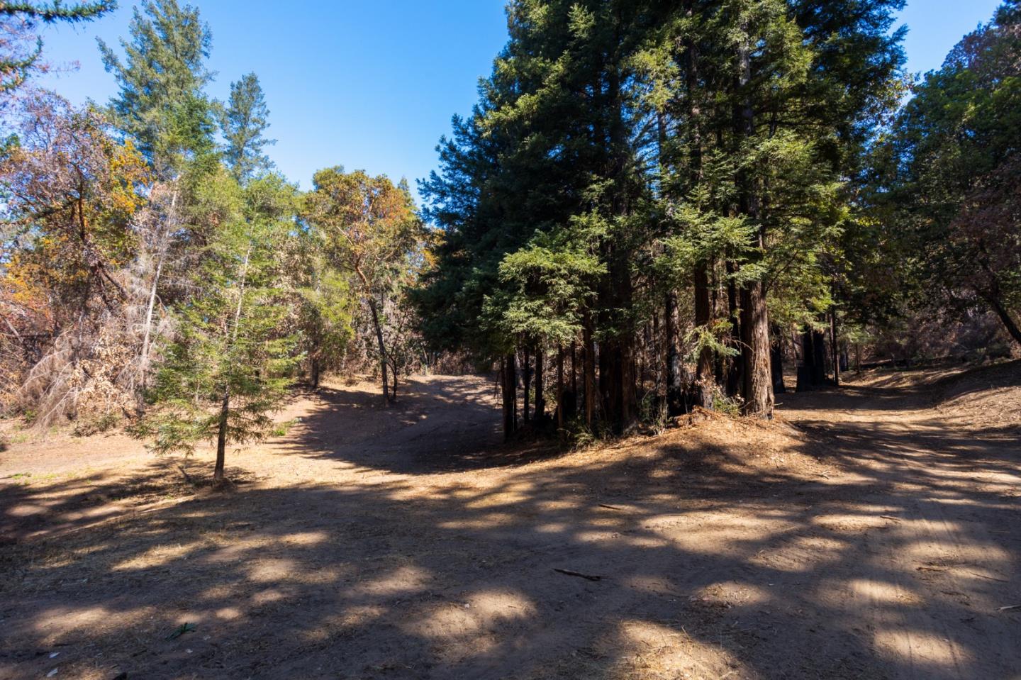 0 Robin Hood Lane, BOULDER CREEK, California 95006, ,Lots And Land,For Sale,Robin Hood Lane,40969579