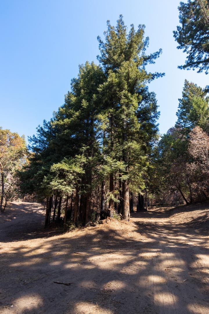 0 Robin Hood Lane, BOULDER CREEK, California 95006, ,Lots And Land,For Sale,Robin Hood Lane,40969579