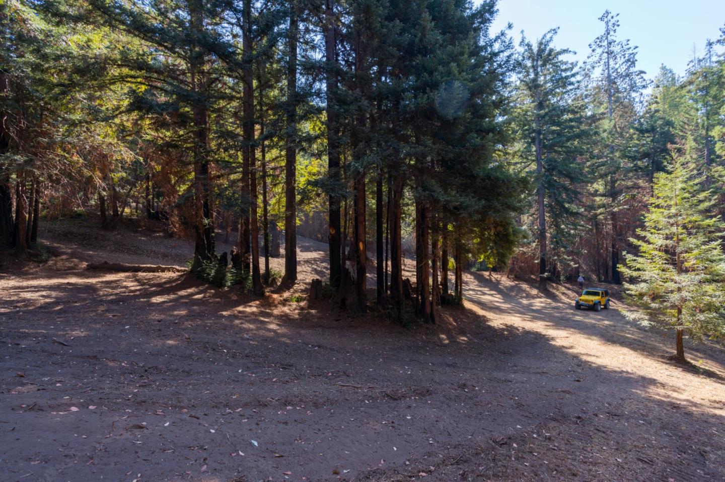 0 Robin Hood Lane, BOULDER CREEK, California 95006, ,Lots And Land,For Sale,Robin Hood Lane,40969579