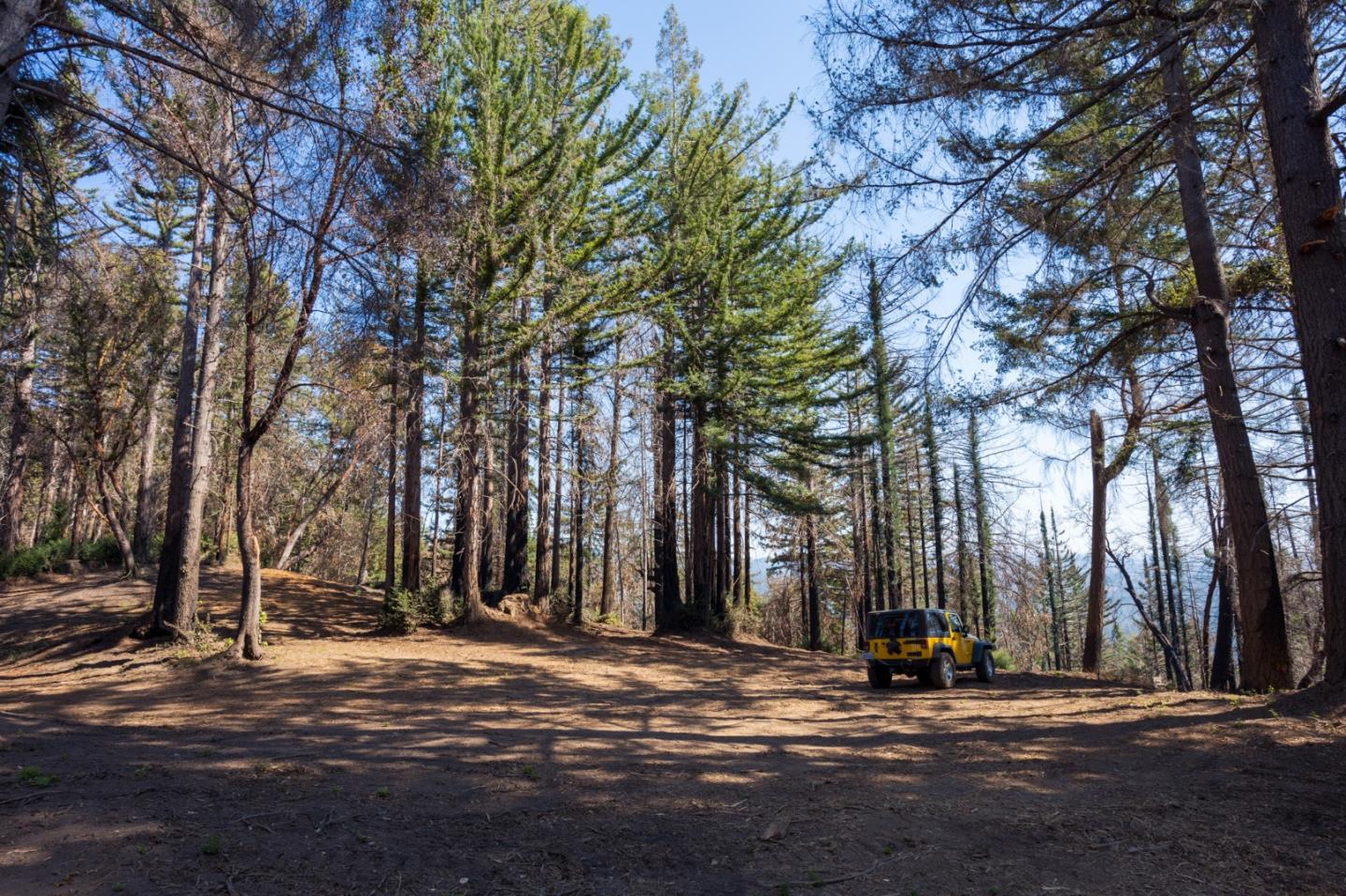 0 Robin Hood Lane, BOULDER CREEK, California 95006, ,Lots And Land,For Sale,Robin Hood Lane,40969579