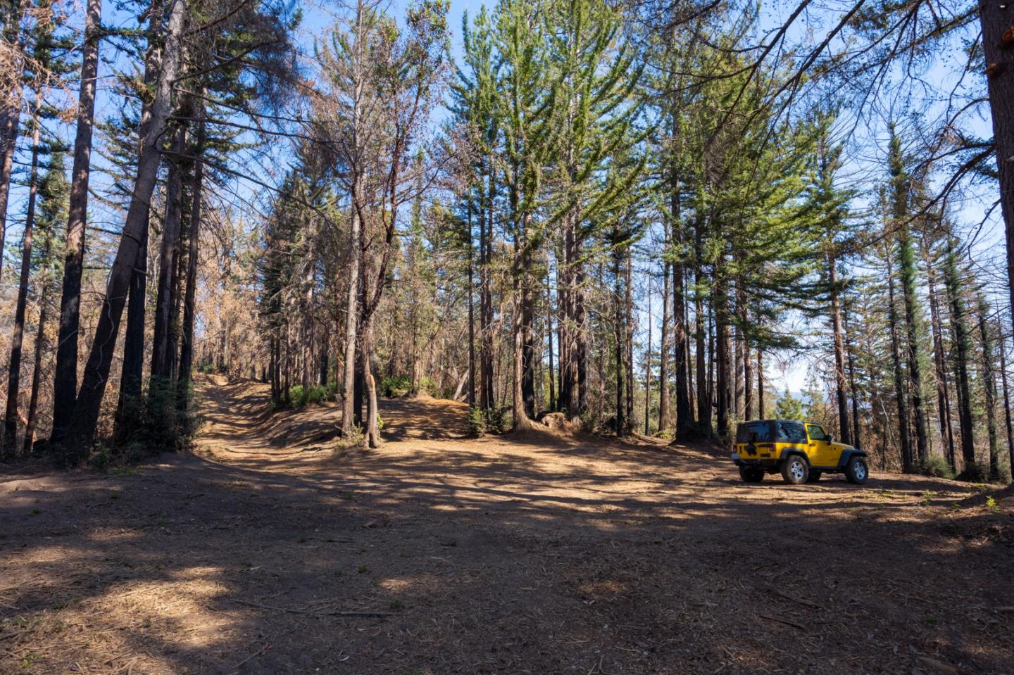 0 Robin Hood Lane, BOULDER CREEK, California 95006, ,Lots And Land,For Sale,Robin Hood Lane,40969579