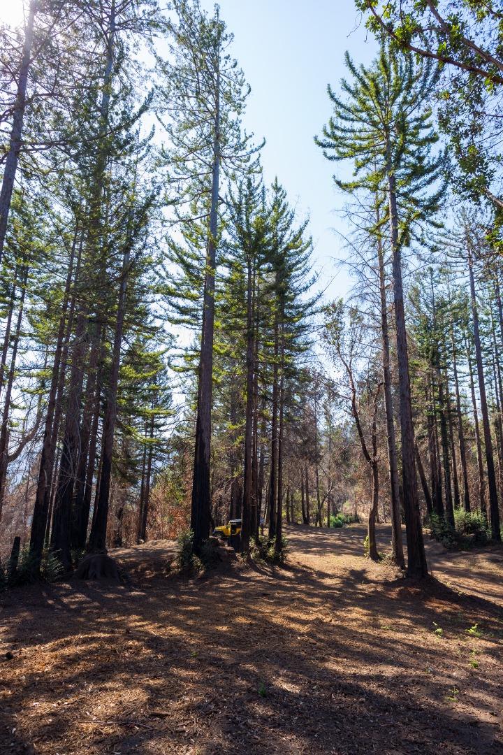 0 Robin Hood Lane, BOULDER CREEK, California 95006, ,Lots And Land,For Sale,Robin Hood Lane,40969579