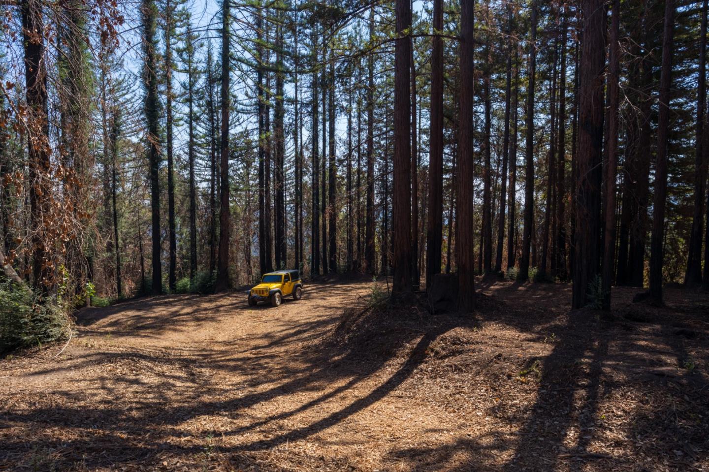 0 Robin Hood Lane, BOULDER CREEK, California 95006, ,Lots And Land,For Sale,Robin Hood Lane,40969579