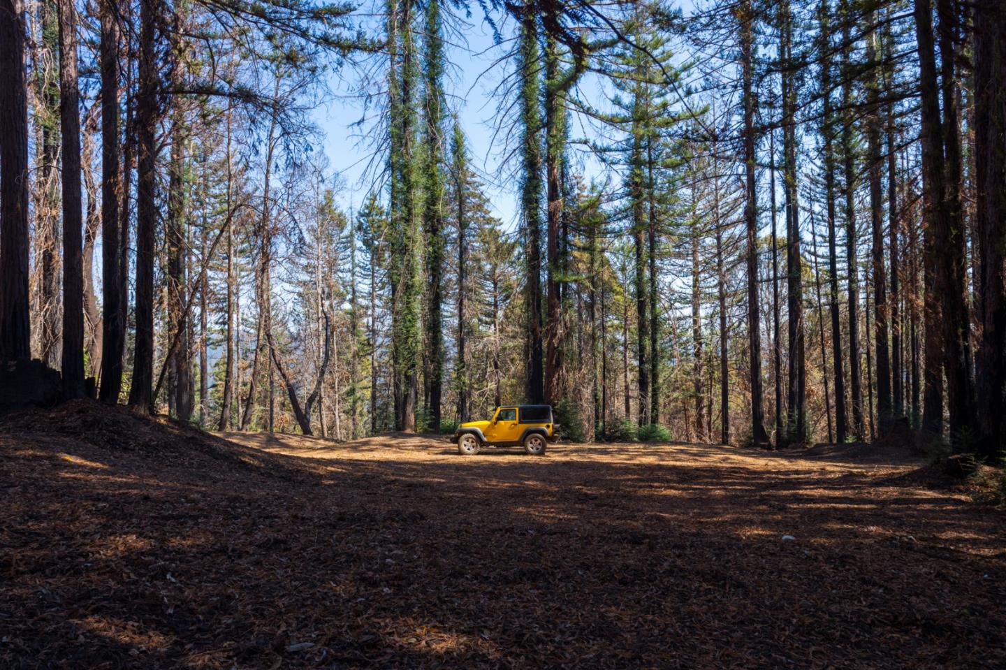 0 Robin Hood Lane, BOULDER CREEK, California 95006, ,Lots And Land,For Sale,Robin Hood Lane,40969579