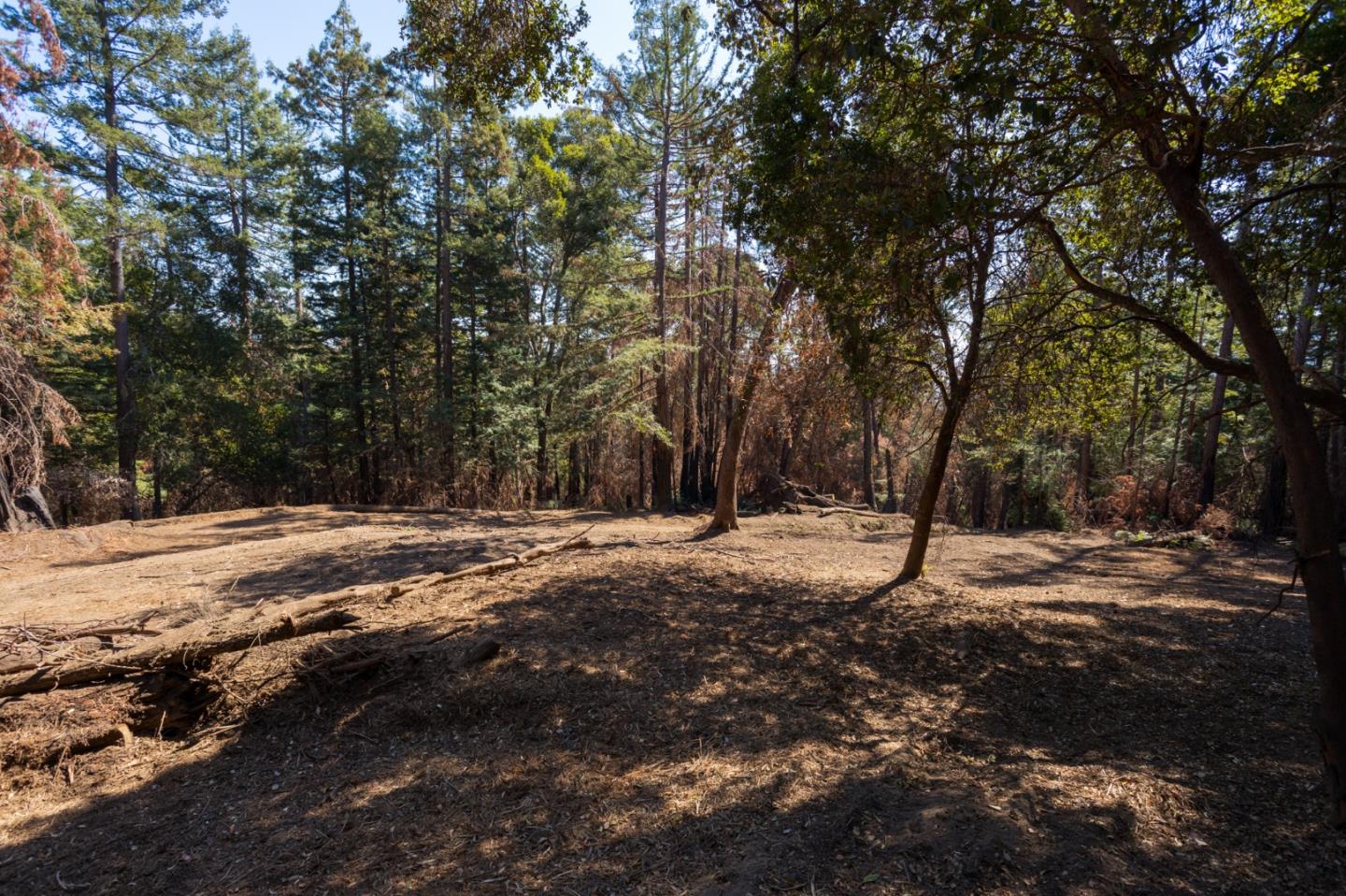 0 Robin Hood Lane, BOULDER CREEK, California 95006, ,Lots And Land,For Sale,Robin Hood Lane,40969579