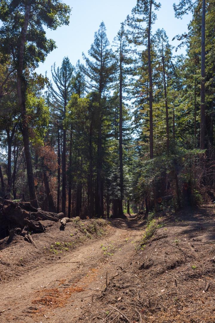 0 Robin Hood Lane, BOULDER CREEK, California 95006, ,Lots And Land,For Sale,Robin Hood Lane,40969579