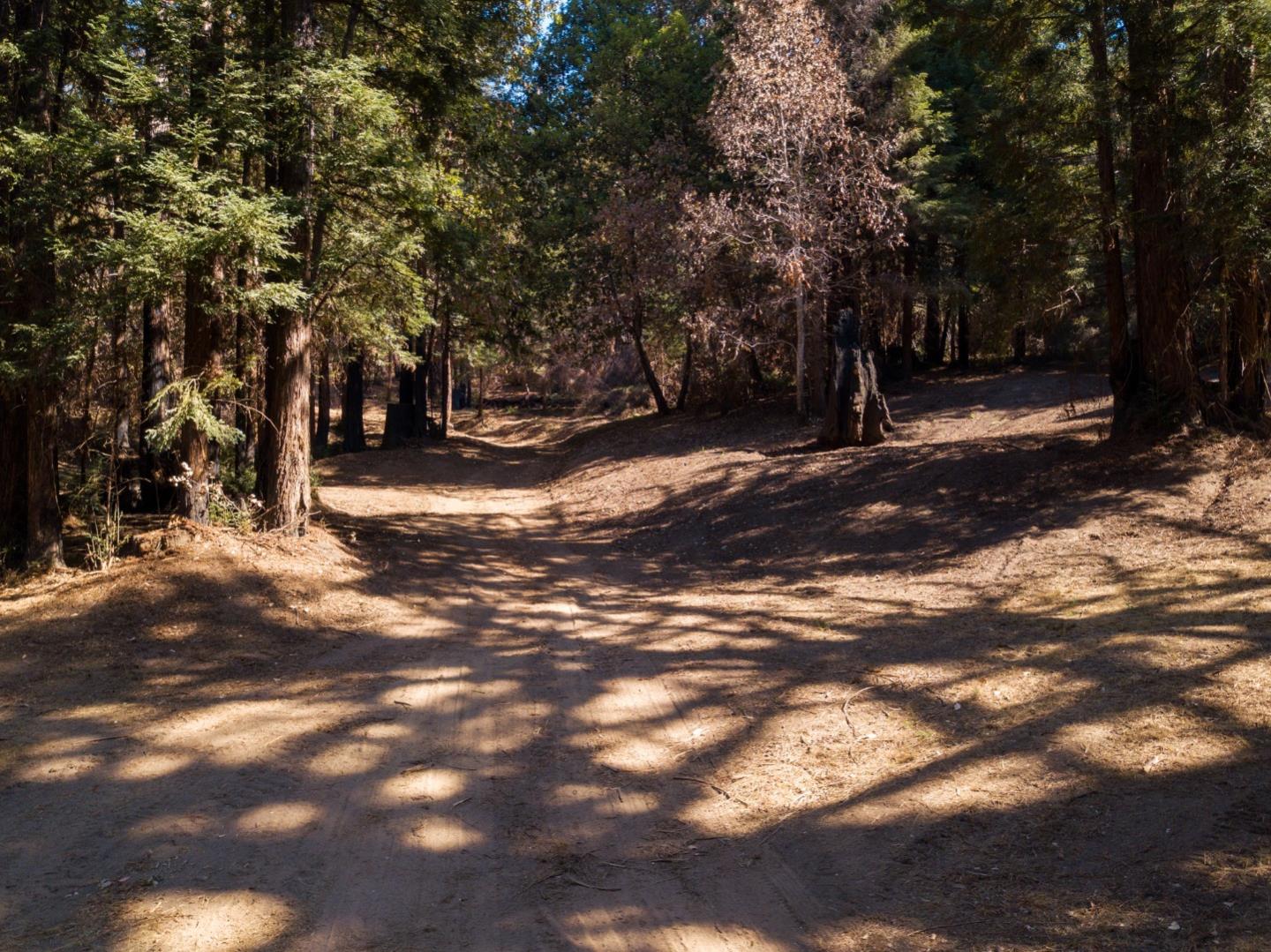 0 Robin Hood Lane, BOULDER CREEK, California 95006, ,Lots And Land,For Sale,Robin Hood Lane,40969579