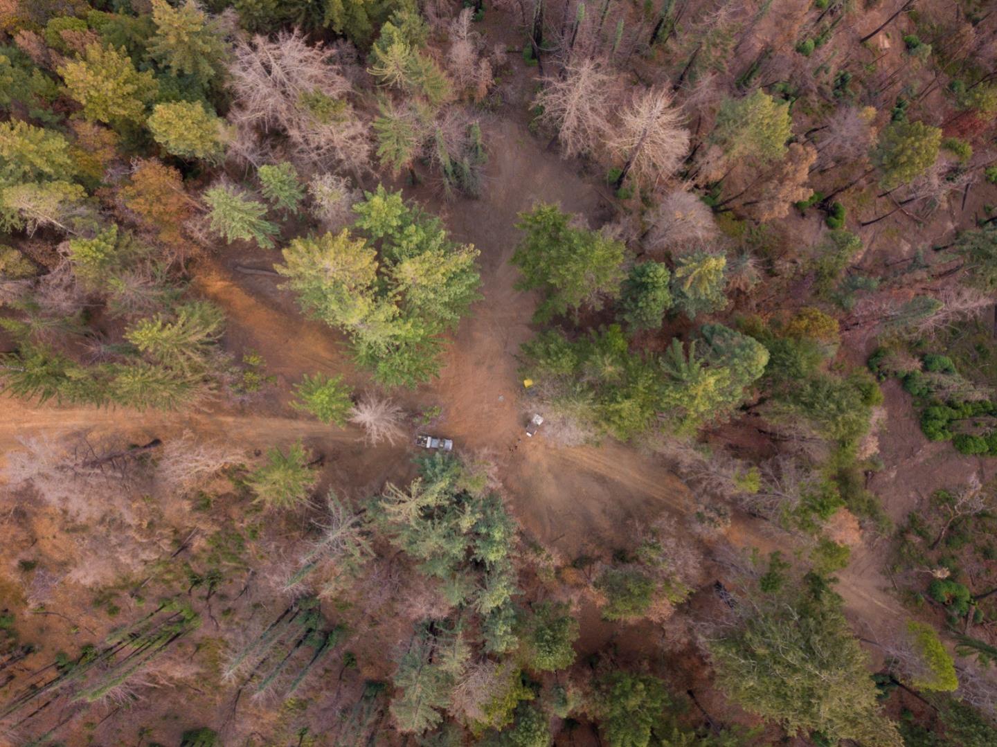 0 Robin Hood Lane, BOULDER CREEK, California 95006, ,Lots And Land,For Sale,Robin Hood Lane,40969579