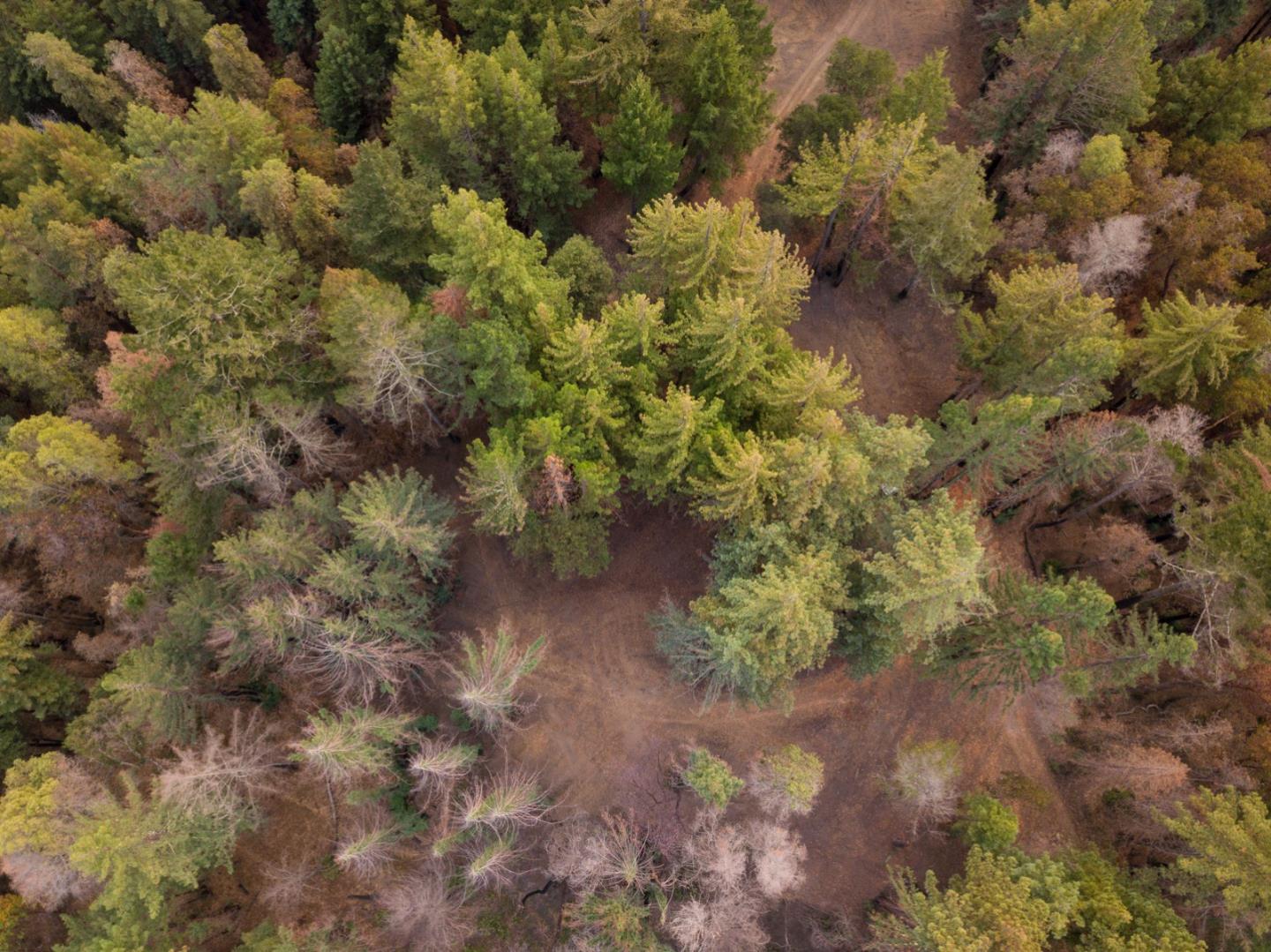 0 Robin Hood Lane, BOULDER CREEK, California 95006, ,Lots And Land,For Sale,Robin Hood Lane,40969579