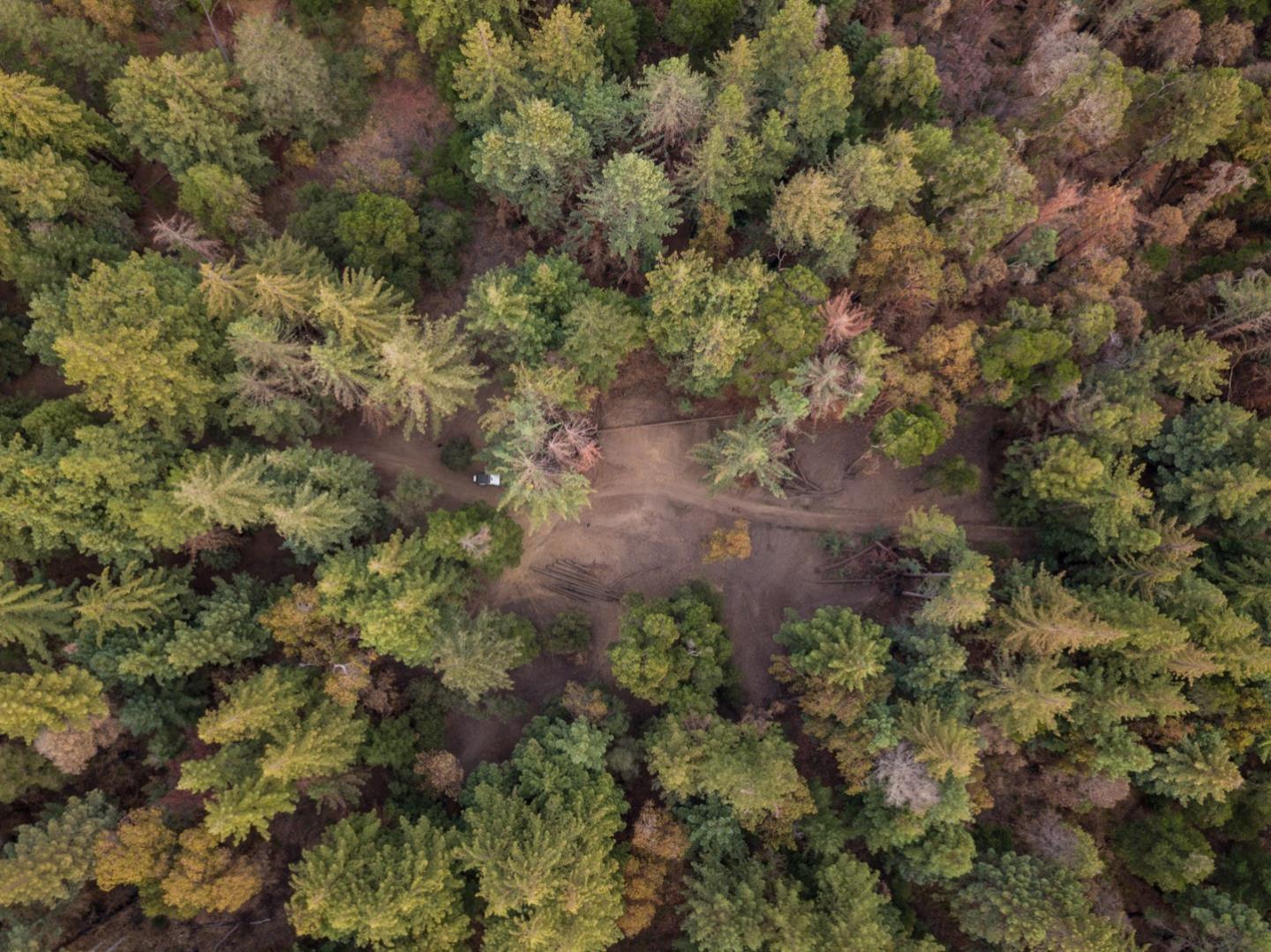 0 Robin Hood Lane, BOULDER CREEK, California 95006, ,Lots And Land,For Sale,Robin Hood Lane,40969579