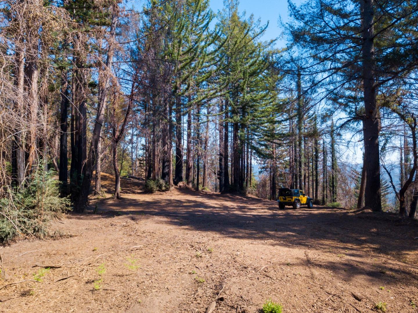 0 Robin Hood Lane, BOULDER CREEK, California 95006, ,Lots And Land,For Sale,Robin Hood Lane,40969579