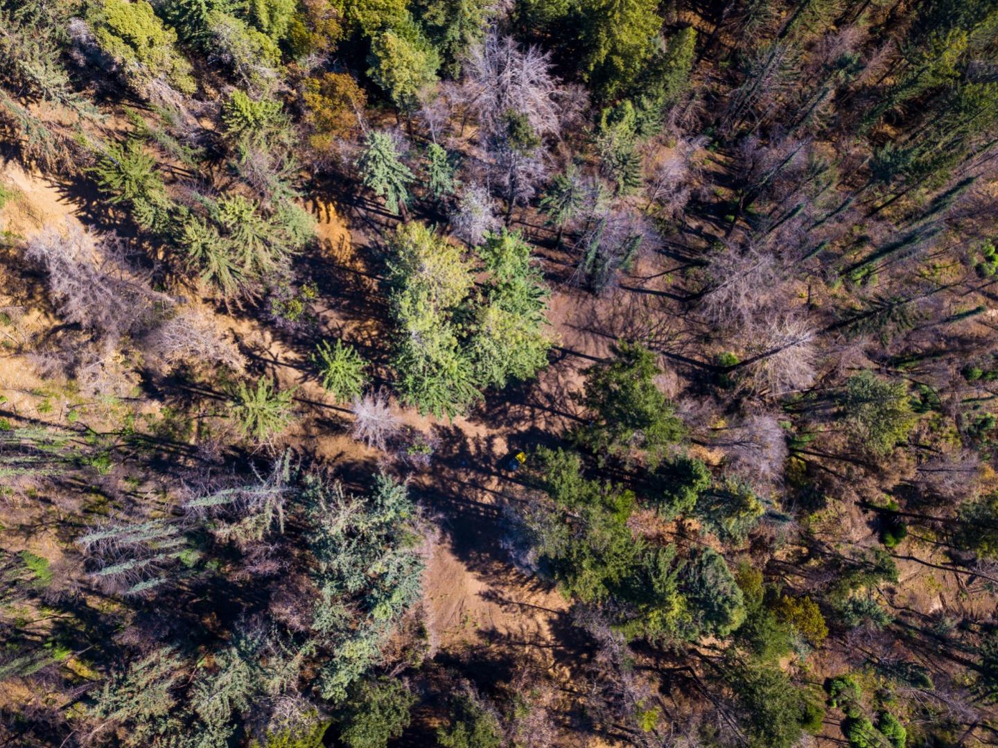 0 Robin Hood Lane, BOULDER CREEK, California 95006, ,Lots And Land,For Sale,Robin Hood Lane,40969579
