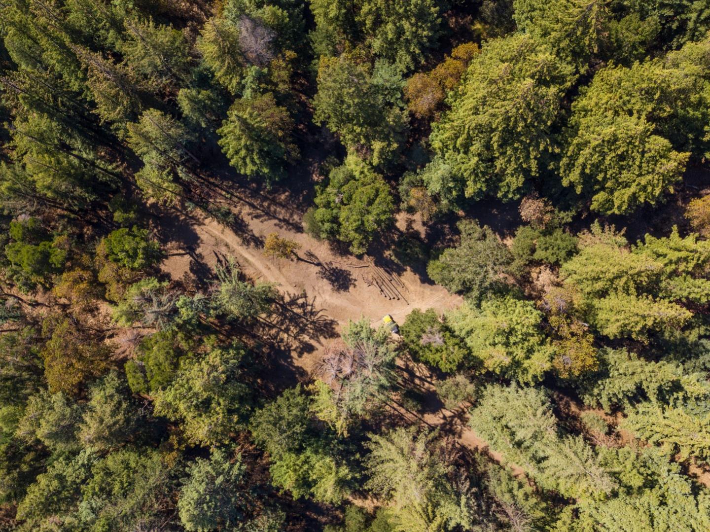 0 Robin Hood Lane, BOULDER CREEK, California 95006, ,Lots And Land,For Sale,Robin Hood Lane,40969579