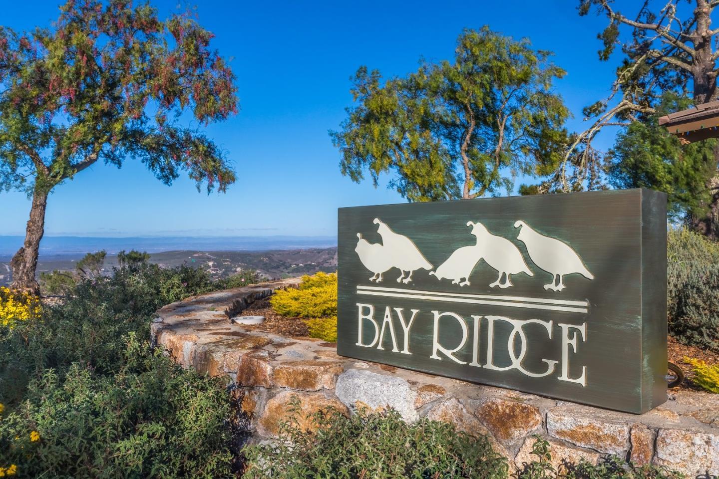11395 Saddle Road, MONTEREY, California 93940, ,Lots And Land,For Sale,Saddle Road,40969583