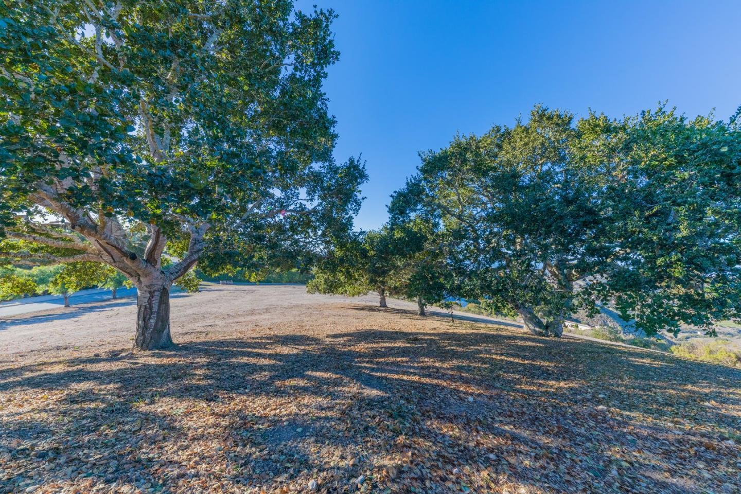 11395 Saddle Road, MONTEREY, California 93940, ,Lots And Land,For Sale,Saddle Road,40969583