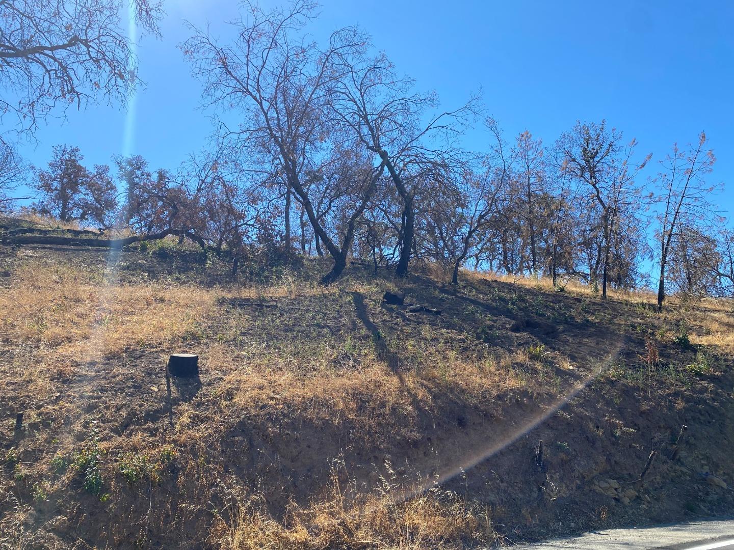 0000 San Antonio Road, SAN JOSE, California 95140, ,Lots And Land,For Sale,San Antonio Road,40969844