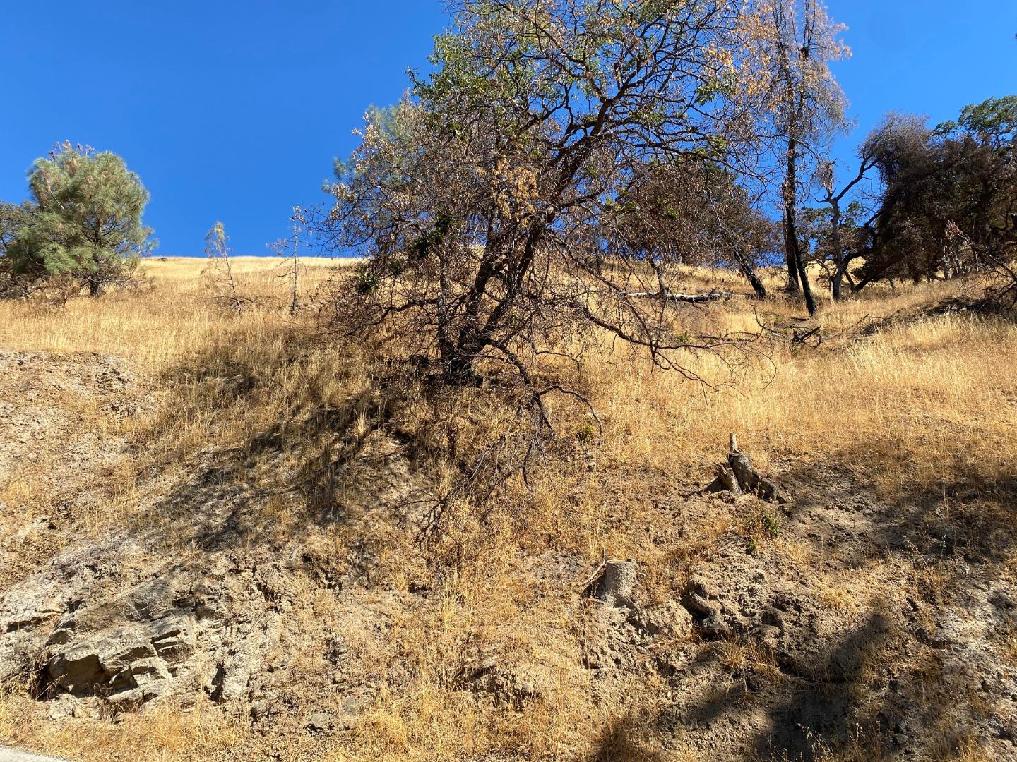 0000 San Antonio Road, SAN JOSE, California 95140, ,Lots And Land,For Sale,San Antonio Road,40969844