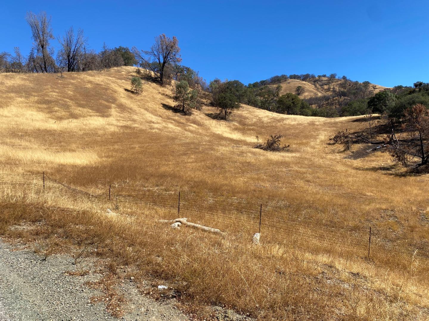 0000 San Antonio Road, SAN JOSE, California 95140, ,Lots And Land,For Sale,San Antonio Road,40969844