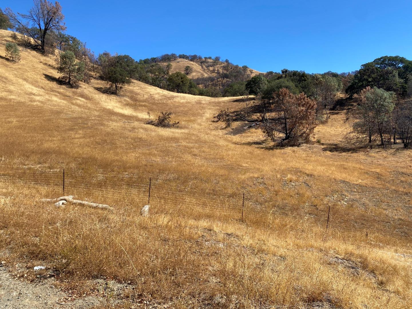 0000 San Antonio Road, SAN JOSE, California 95140, ,Lots And Land,For Sale,San Antonio Road,40969843