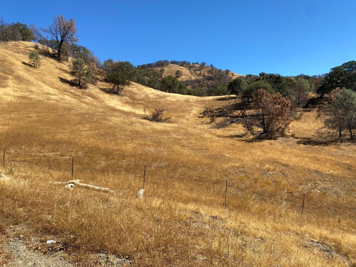 0000 San Antonio Road, SAN JOSE, California 95140, ,Lots And Land,For Sale,San Antonio Road,40969843