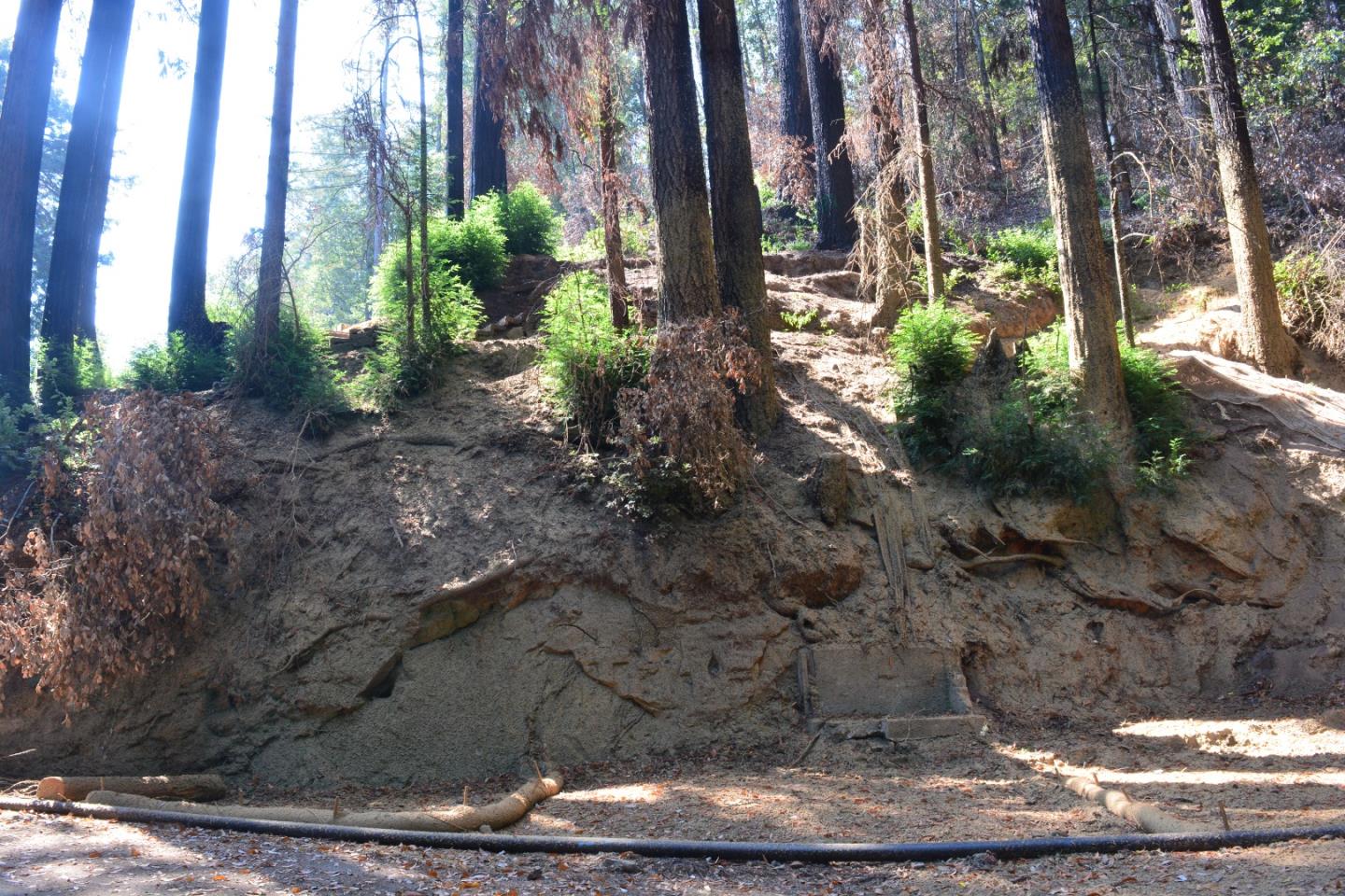 11860 Alta, BROOKDALE, California 95007, ,Lots And Land,For Sale,Alta,40970074