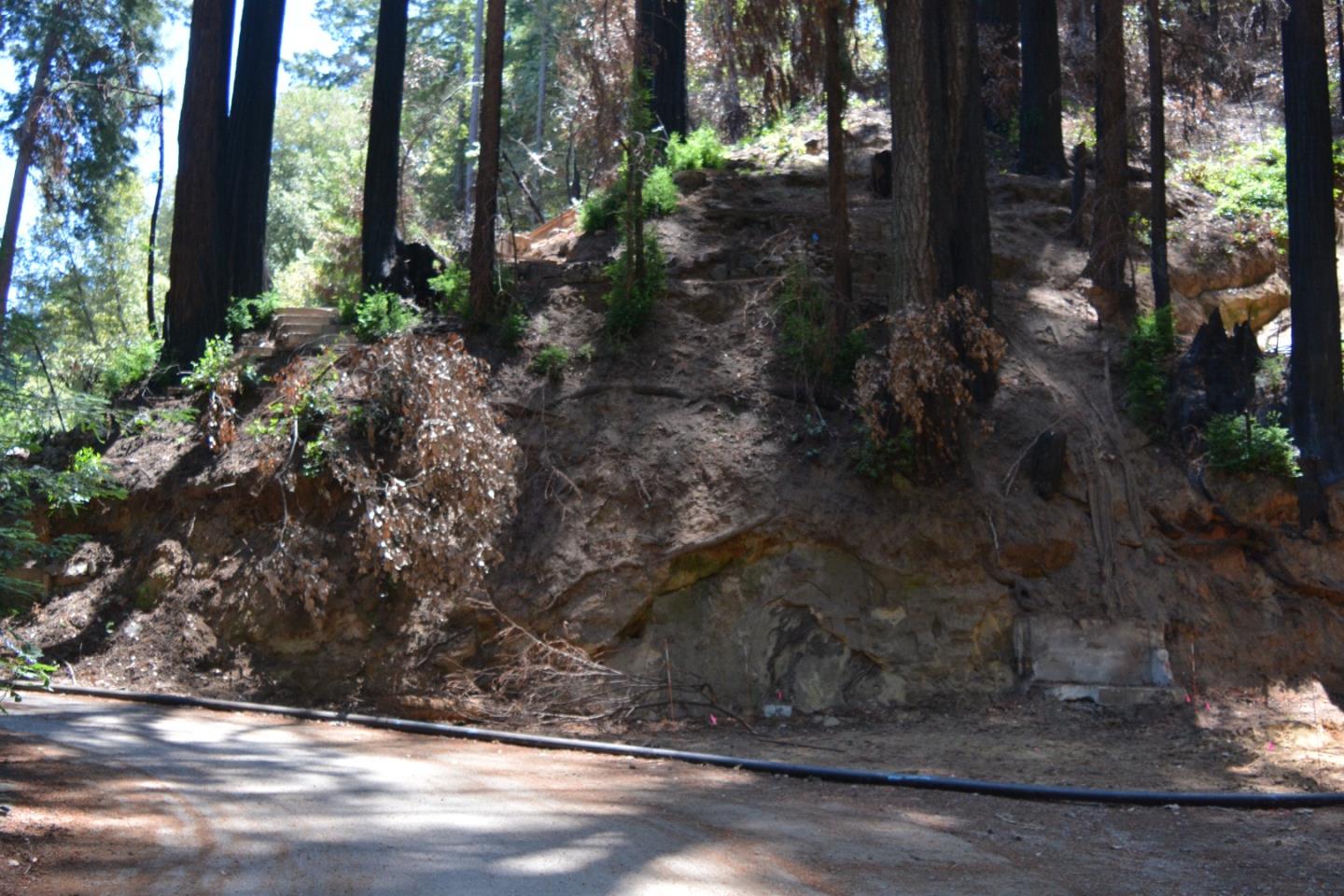11860 Alta, BROOKDALE, California 95007, ,Lots And Land,For Sale,Alta,40970074
