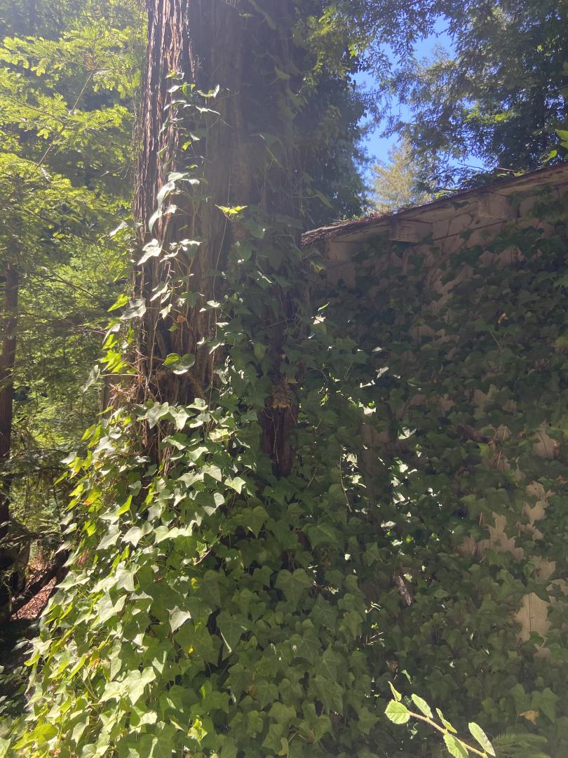 628 Hillcrest Drive, BEN LOMOND, California 95005, ,Lots And Land,For Sale,Hillcrest Drive,40970075