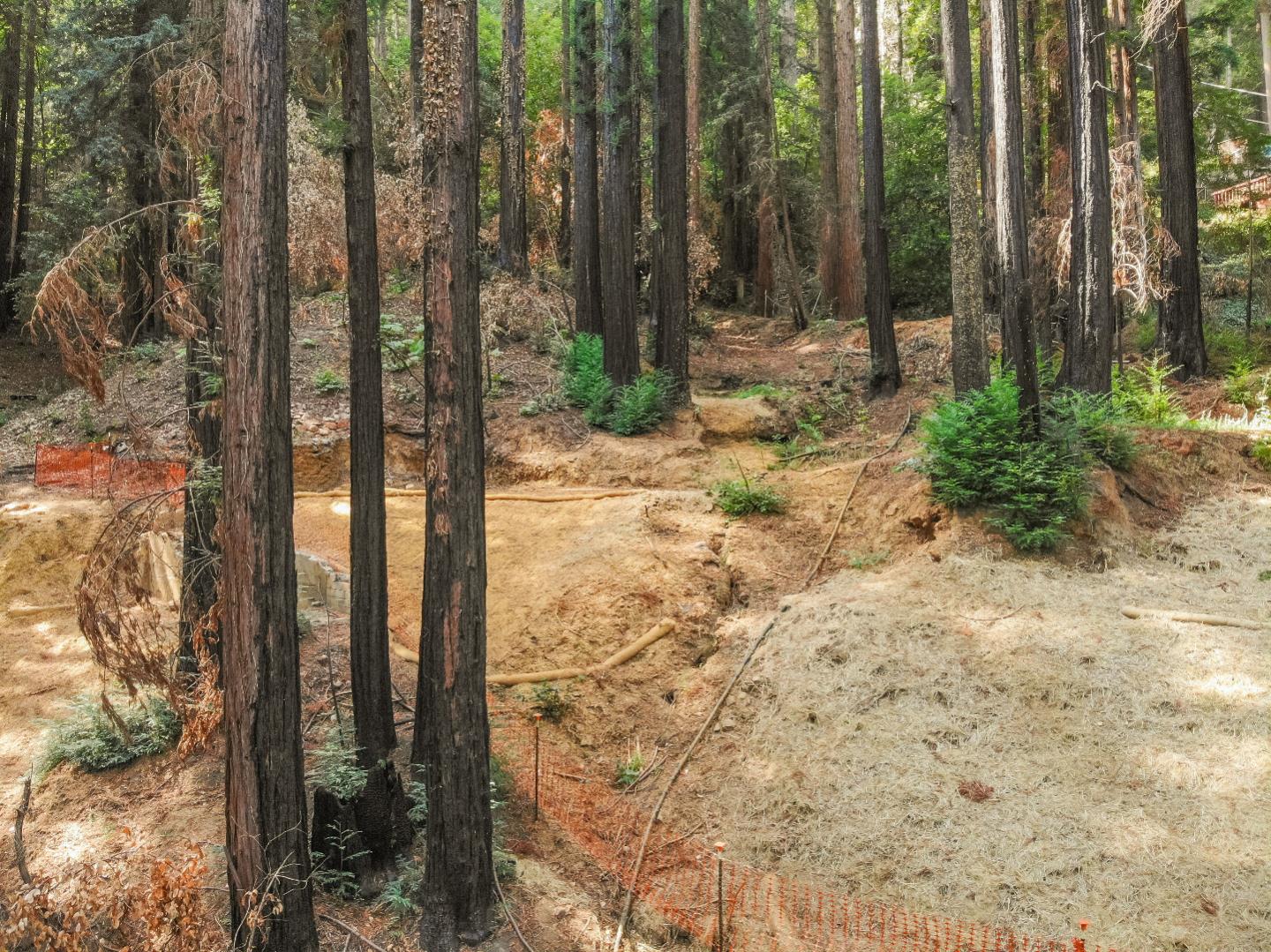 113 Oak Street, BROOKDALE, California 95007, ,Lots And Land,For Sale,Oak Street,40970078
