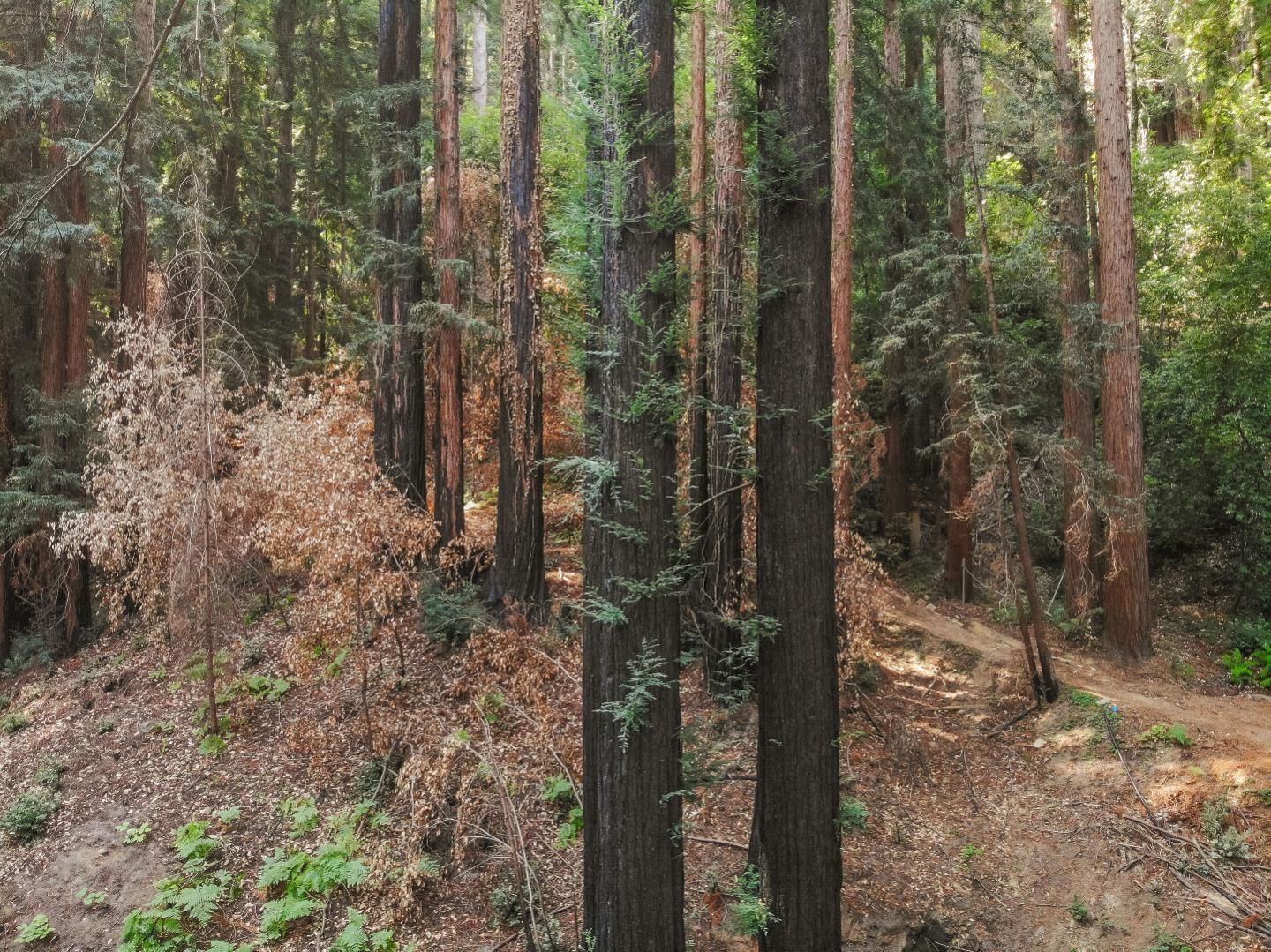 113 Oak Street, BROOKDALE, California 95007, ,Lots And Land,For Sale,Oak Street,40970078