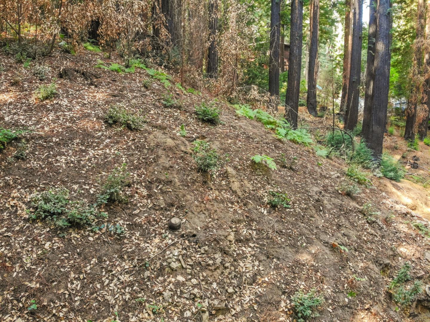 113 Oak Street, BROOKDALE, California 95007, ,Lots And Land,For Sale,Oak Street,40970078